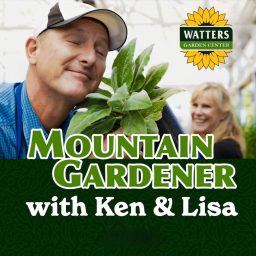 Artwork for Mountain Gardener with Ken Lain