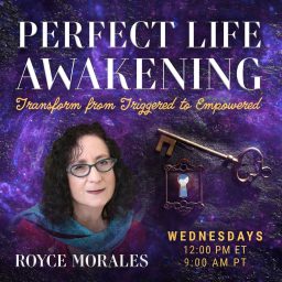 Artwork for Perfect Life Awakening