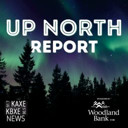 Artwork for Up North Report