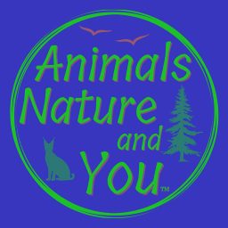 Artwork for Animals, Nature, and You