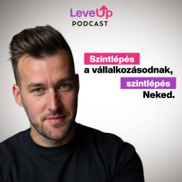 Artwork for LevelUp Podcast