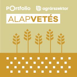 Artwork for Alapvetés