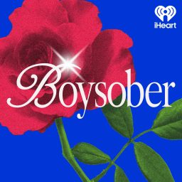 Artwork for Boysober