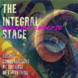 Artwork for The Integral Stage Expanded Universe (ISEU)