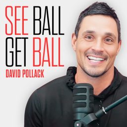 Artwork for See Ball Get Ball with David Pollack