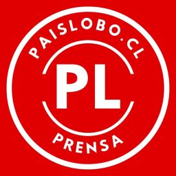 Artwork for PL Podcast
