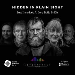 Artwork for Hidden in Plain Sight