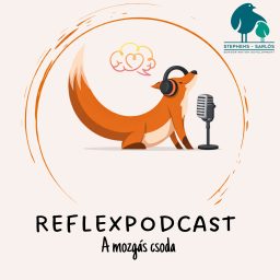 Artwork for ReflexPodcast