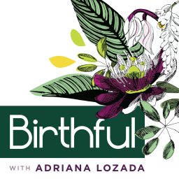 Artwork for Birthful