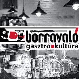 Artwork for Borravaló