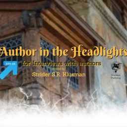 Artwork for Author in the Headlights