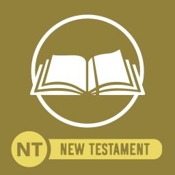 Artwork for Commuter Bible NT