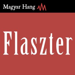 Artwork for Flaszter
