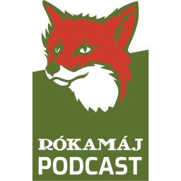 Artwork for Rókamáj - Bors Richárddal