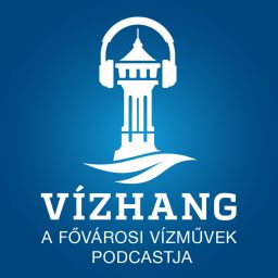 Artwork for Vízhang