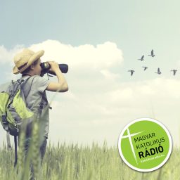 Artwork for Madárvárta