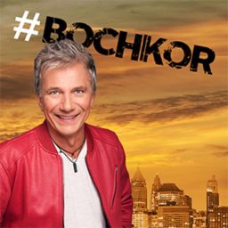 Artwork for Bochkor