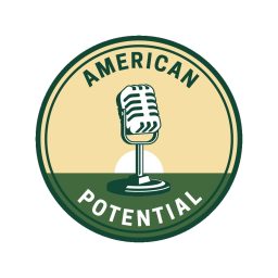 Artwork for American Potential