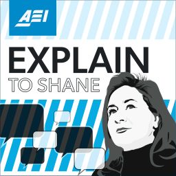 Artwork for Explain to Shane
