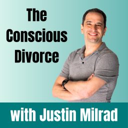Artwork for The Conscious Divorce