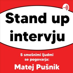 Artwork for Stand up Intervju