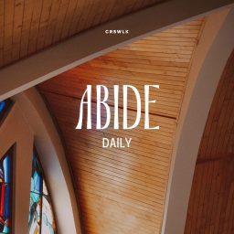 Artwork for Abide Daily
