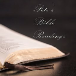 Artwork for Pete's Bible Readings