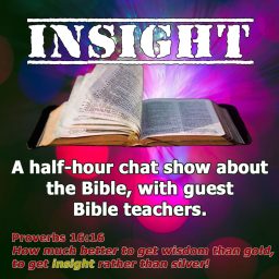 Artwork for INSIGHT