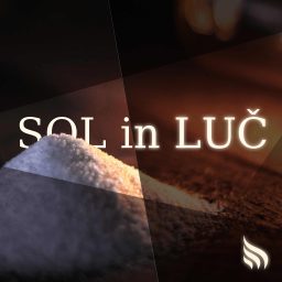 Artwork for Sol in luč