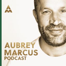 Artwork for Aubrey Marcus Podcast