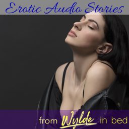 Artwork for Erotic Audio Stories