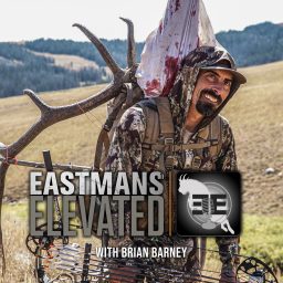 Artwork for Eastmans' Elevated