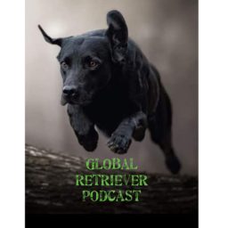 Artwork for Global Retriever Podcast