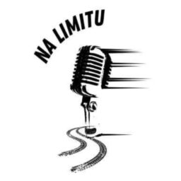 Artwork for Na limitu