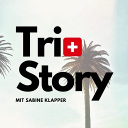 Artwork for TriStory