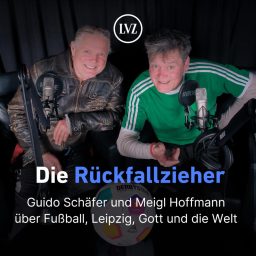 Artwork for Die Rückfallzieher