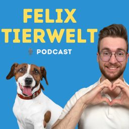 Artwork for Felix Tierwelt