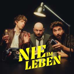 Artwork for Nie im Leben