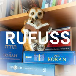 Artwork for RUFUSS