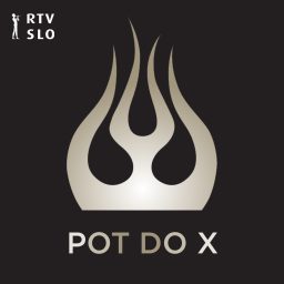 Artwork for Pot do X - Siddharta