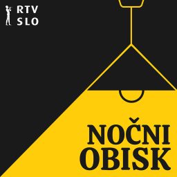 Artwork for Nočni obisk