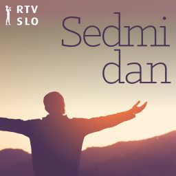 Artwork for Sedmi dan
