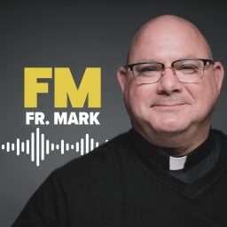 Artwork for FM