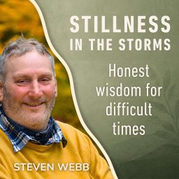 Artwork for Stillness in the Storms