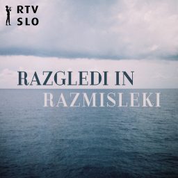 Artwork for Razgledi in razmisleki