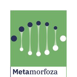 Artwork for Metamorfoza