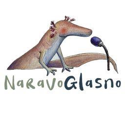 Artwork for Naravoglasno