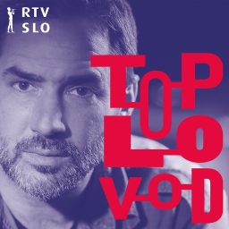 Artwork for Toplovod