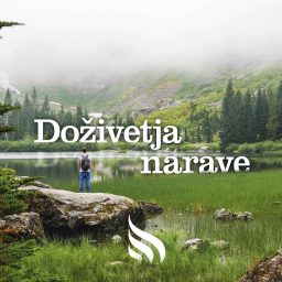 Artwork for Doživetja narave
