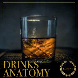 Artwork for Drinks Anatomy